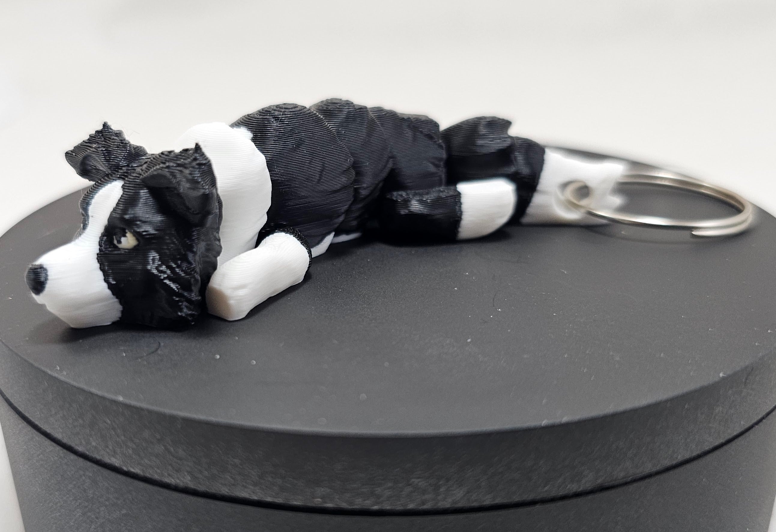 Dog Key Ring/Back Pack Buddy