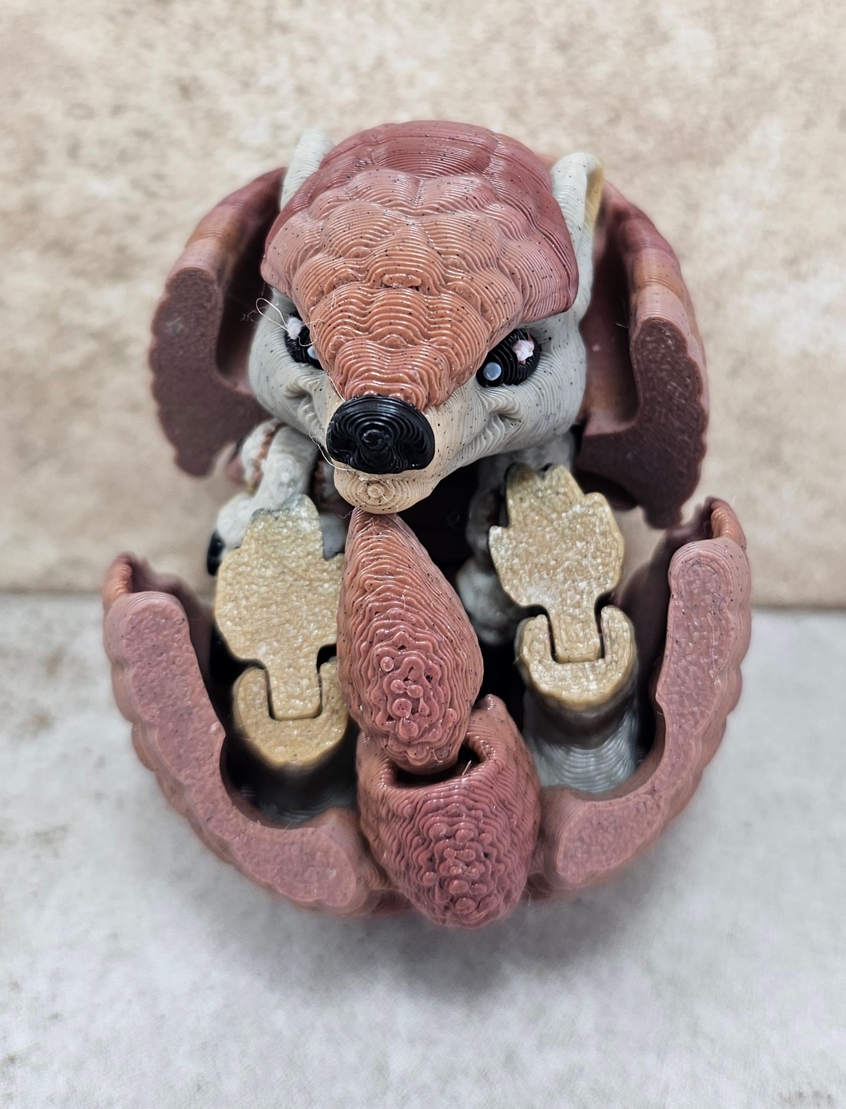 Armadillo