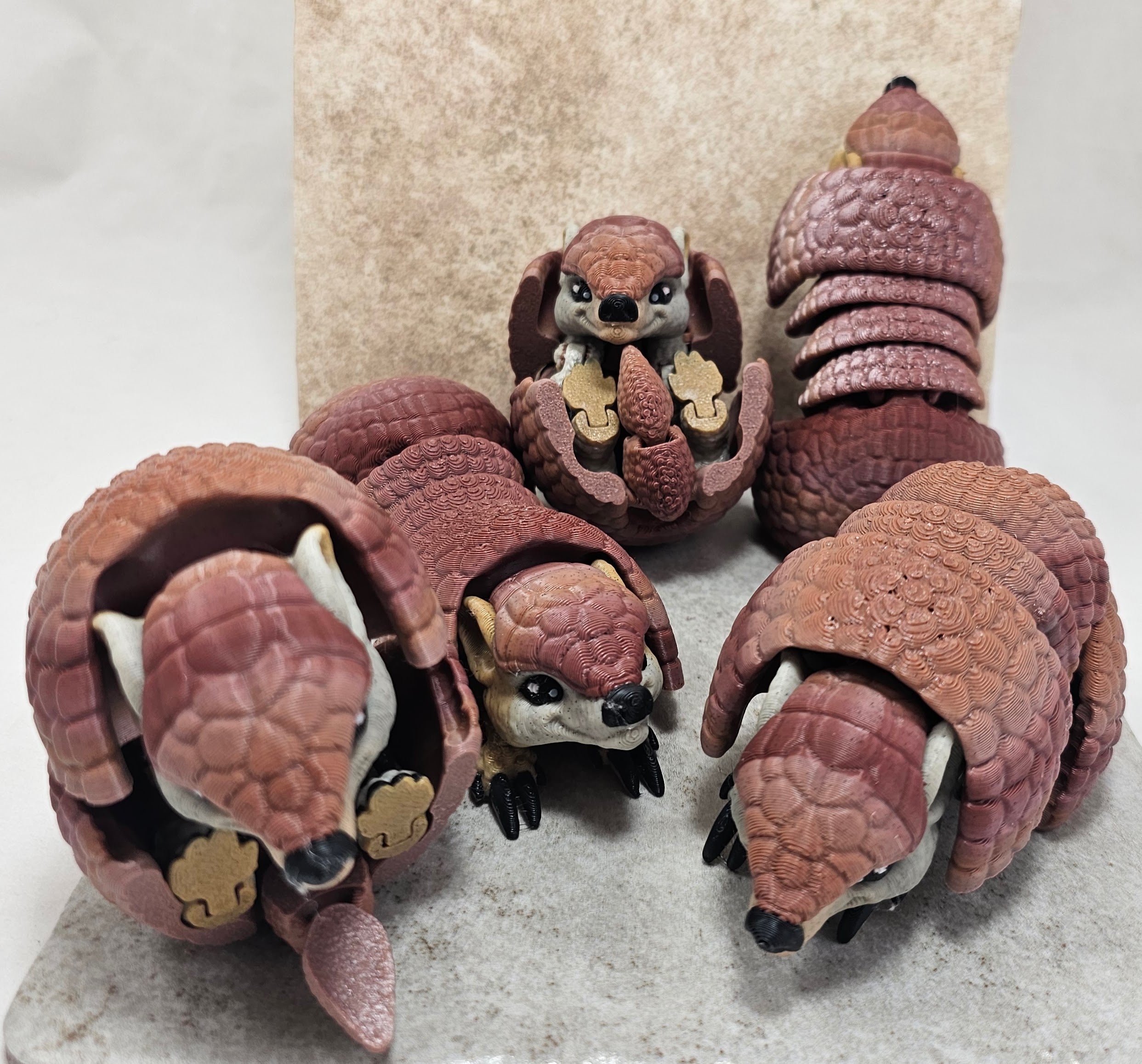 Armadillo