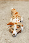 Border Collie Light Red - White - Brown Nose keychain / backpack buddy